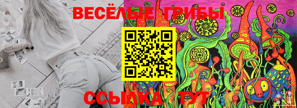 Галлюциногенные грибы Cubensis Сальск