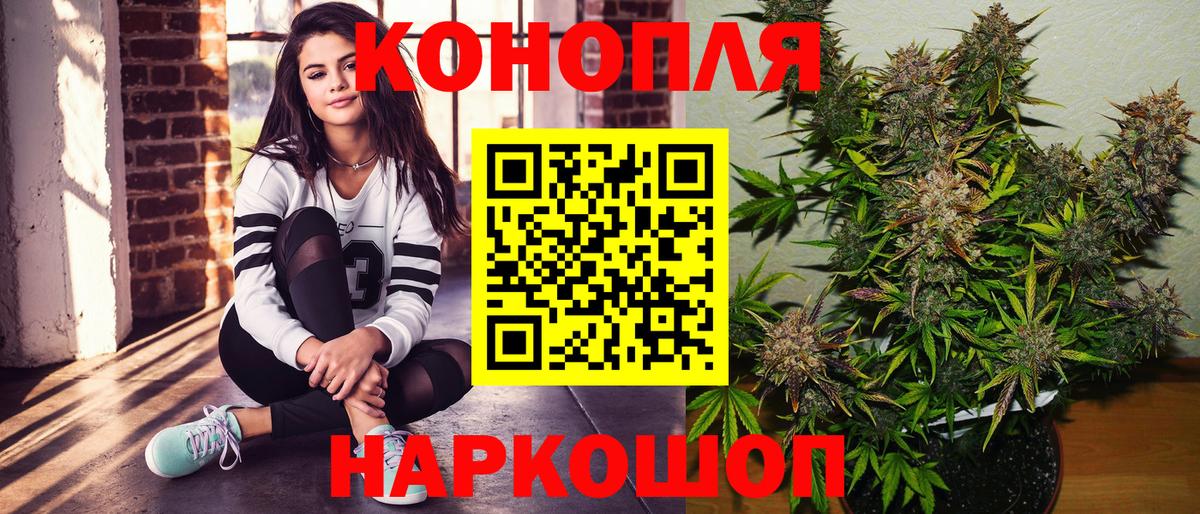 Бошки марихуана Amnesia Сальск